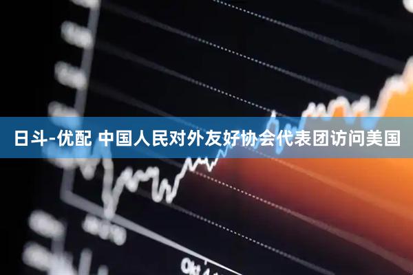 日斗-优配 中国人民对外友好协会代表团访问美国