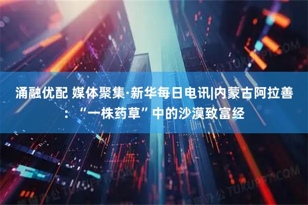 涌融优配 媒体聚集·新华每日电讯|内蒙古阿拉善：“一株药草”中的沙漠致富经