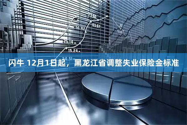 闪牛 12月1日起，黑龙江省调整失业保险金标准