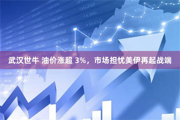 武汉世牛 油价涨超 3%，市场担忧美伊再起战端