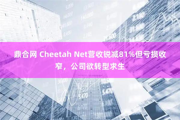 鼎合网 Cheetah Net营收锐减81%但亏损收窄,公司欲转型求生