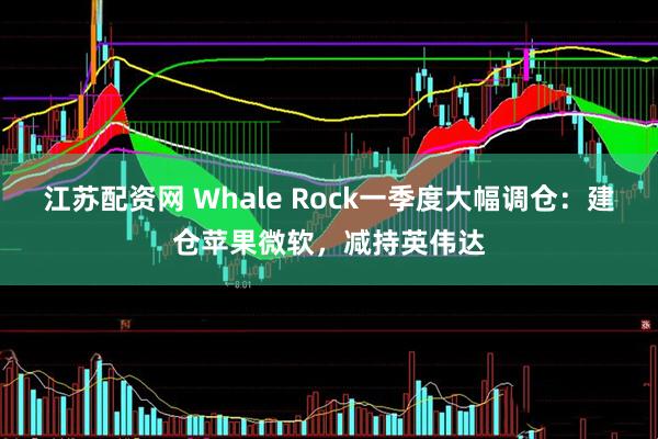江苏配资网 Whale Rock一季度大幅调仓：建仓苹果微软，减持英伟达