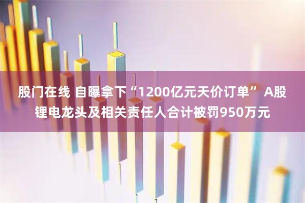 股门在线 自曝拿下“1200亿元天价订单” A股锂电龙头及相关责任人合计被罚950万元
